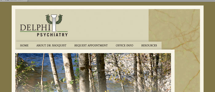 Delphi Psychiatry website